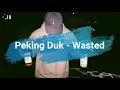 Peking Duk - Wasted [Lyrics/Sub. Español]