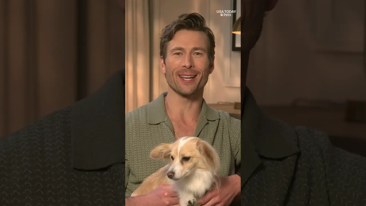Meet USA TODAY Pets 🐾