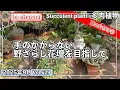 Download Lagu 629{多肉植物} 【夕方18:00一般公開！】夏の片付け第二弾！今日もカラッカラに枯れた植木鉢を片付けて１個鉢にまとめていきます😊✌️【鉢減らし】【ba多肉】【baチャンネル】【Succulent】