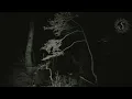 Download Lagu Sigma Sol - Disquiet