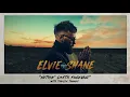 Elvie Shane - Nothin’ Lasts Forever (with Tenille Townes) [Official Audio]