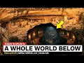 Scientists Discovered a Hidden Underground World Beneath Mesa Verde