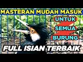 Lagu Burung Jalak Suren Full Isian Tembakan Mewah Cililin Tengkek Buto Suara Unik