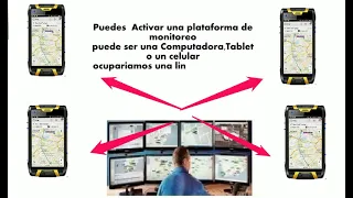                    دندنها