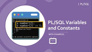 Variables and Contants in With Practical Implementation TechnonTechTV