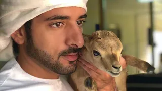 حركت فيه نايمات الاحاسيس 