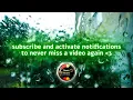 "Sommergewitter" - Pashanim (lyrics and English translation)