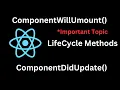 React ComponentDidUpdate Explained Lifecycle Method in Action 2025