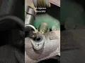 Volvo D13 how to change the 7th injector