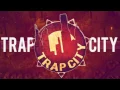 Trapcity bird machine