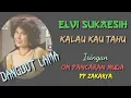 ELVI SUKAESIH  -  Kalau kau tahu