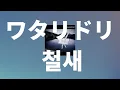 데려다줄게, 미래에🪽: Alexandros - 철새(Wataridori) [가사/발음/한글 자막/해석]