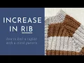 Increase in a 1x1 Rib - How to Maintain a Stitch Pattern in a Raglan Sweater while Increasing