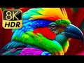 Download Lagu Most Beautiful Birds in The World in 8K HDR 60fps for 8K \u0026 4K TVs
