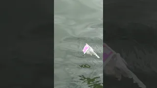 Plastic everywhere off the coast of NY and NJ, it’s never going to stop until we refuse to use it.