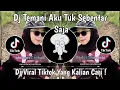 DJ TEMANI AKU TUK SEBENTAR SAJA | DJ KESEPIAN VIERRA VIRAL TIKTOK TERBARU 2025 !