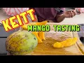 Keitt Mango Tasting