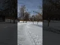 Coldest weather in Chicago resent history Record low temperature