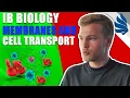 IB Biology Revision Membranes and Cell Transport