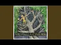 Download Lagu Emerald Shower Of Hits