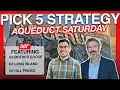 Aqueduct Pick 5 Strategy ft Mother Goose Long Island Hill Prince Stakes November 8 2025