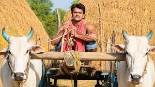 देखिये कैसे खेसारी लाल यादव गांव में बैलगाड़ी चलाते है 😂 वीडियो बहुत तेजी से वायरल हो रहा है 🤣