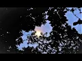 Download Lagu suara hutan borneo malam hari // suara jangkrik - burung hantu dan serangga
