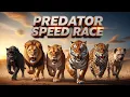 Predator Speed Race Lion vs Lioness vs Tiger vs Black Panther vs Jaguar vs Hyena