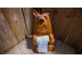 Off The Grid Bathroom Options In A Fire Lookout Zillow