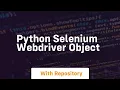 python selenium webdriver object