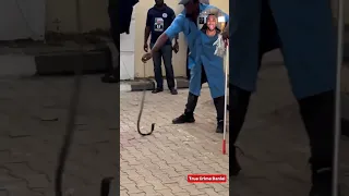 nigerian singer mysteriously bitten by a snake in her house the sad case of ifunanya nwagene