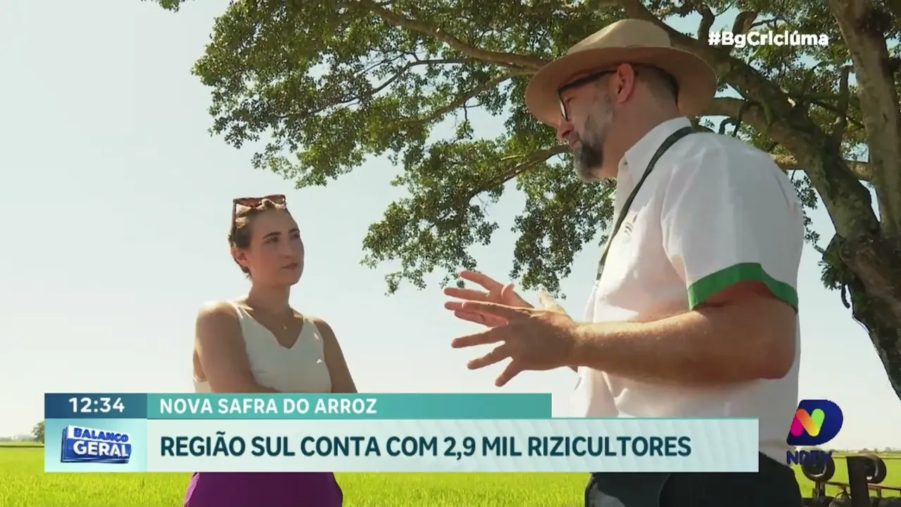 Safra de Arroz 2024: produtores regionais iniciam colheita com perspectivas positivas