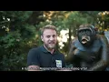 Beo Zoo Vrt - Virtuelna Tura