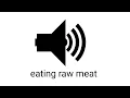 Lagu eating raw meat sound effect (royalty free)