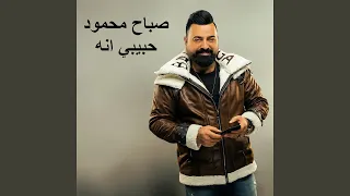 حبيبي انه دندنها