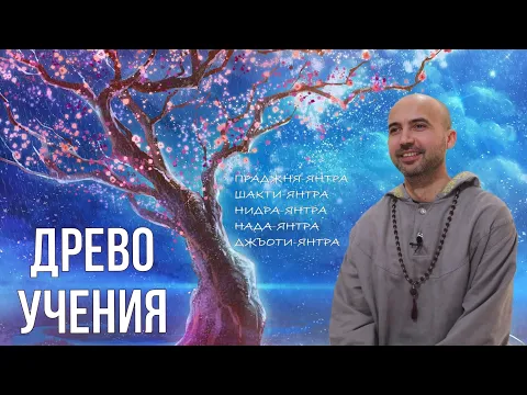 древо учения image