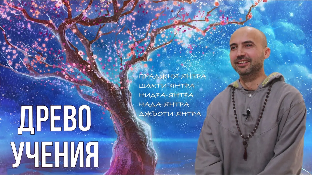 course древо учения image