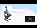 Microscope Quiz Can YOU Label It