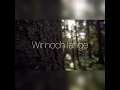 Update New Recyclingbox.ch - Wiso?