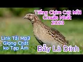 Download Lagu TIẾNG CÚT MỒI CHUẨN NHẤT 2023 l GIỌNG KO LẪN TẠP ÂM l TIẾNG CHIM CÚT MỚI NHẤT l BẪY LÀ DÍNH .