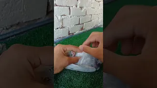 على السريع   علاج السالمونيلا دندنها