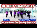 Download Lagu 28 MENIT SENAM SEHAT PEMULA LAGU VIRAL 2024