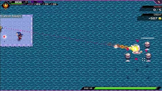 Crosscode v 0 98 Wet Works