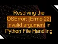 Resolving the OSError Errno 22 Invalid argument in Python File Handling