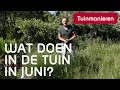 Download Lagu Wat doe je in juni in de tuin? | lente | Tuinmanieren