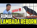 Lagu GREBEK ‼️ RUMAH LAMBADA REBORN..