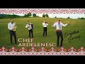 Download Lagu Bogdan Gavris -  Colaj Etno Chef Ardelenesc