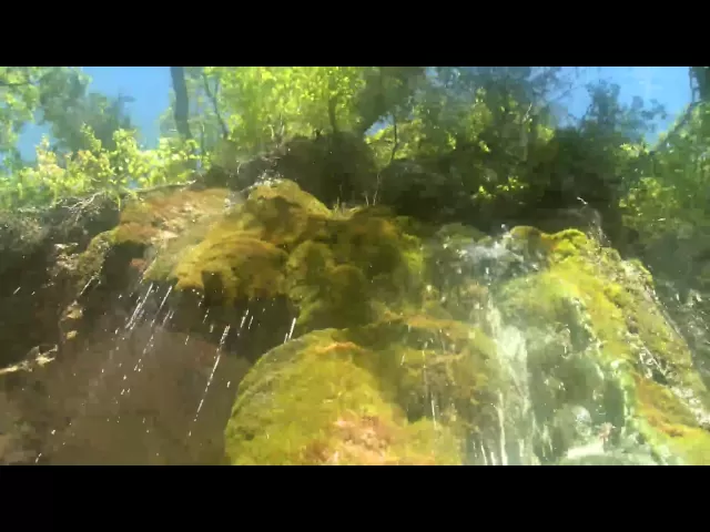 background images
