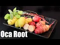 Download Lagu OCA-WORTEL: De kleurrijke Zuid-Amerikaanse wortel die heerlijk smaakt! - Verbazingwekkende planten