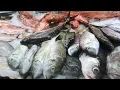 Making It Grow - Harrelson s Seafood Market